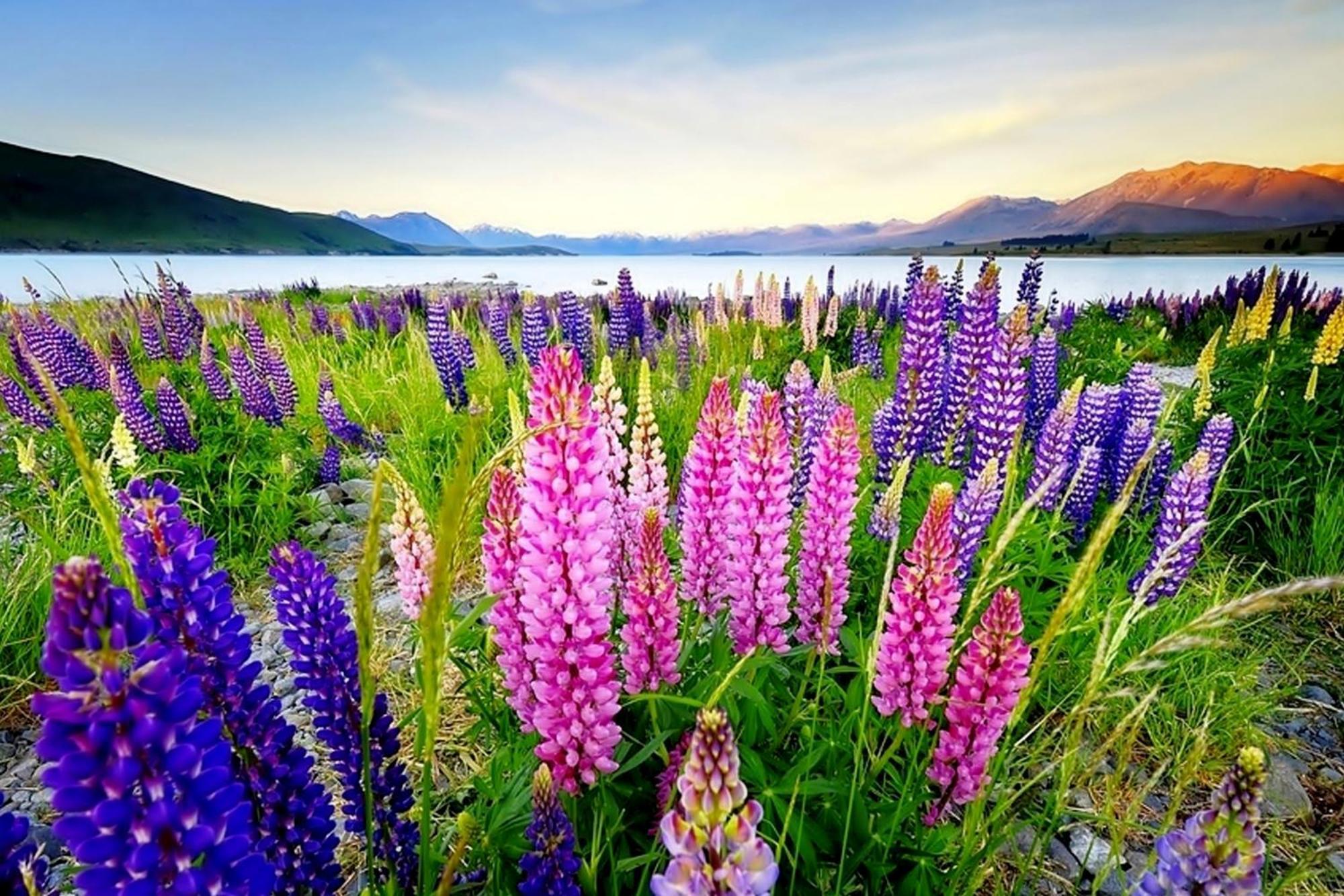 Tekapo1929 Lakefront Villa Lake Tekapo Buitenkant foto