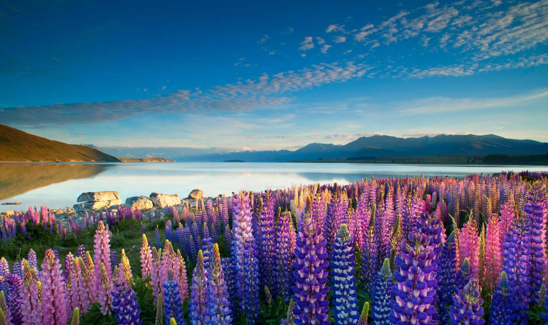 Tekapo1929 Lakefront Villa Lake Tekapo Buitenkant foto