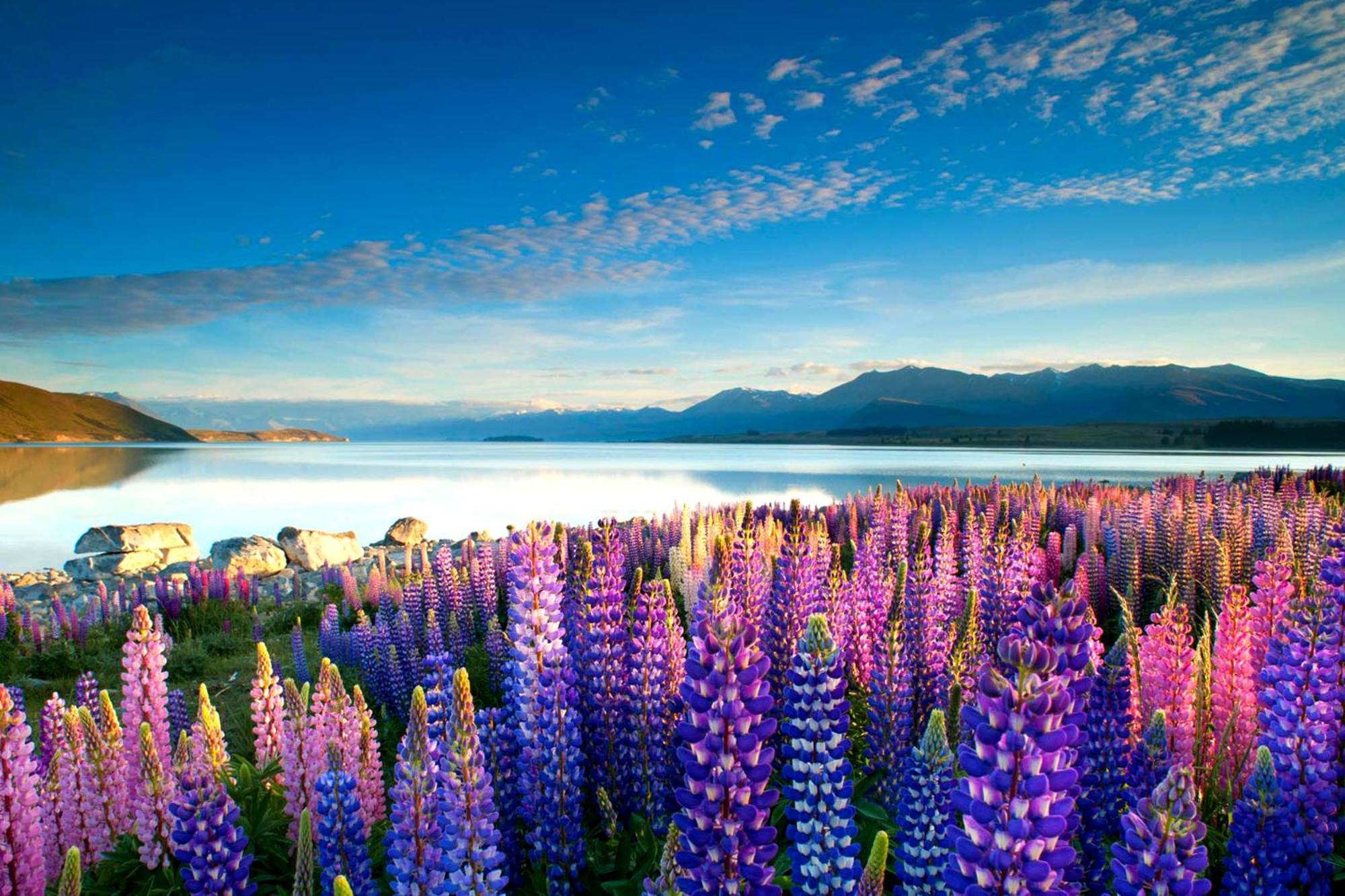 Tekapo1929 Lakefront Villa Lake Tekapo Buitenkant foto